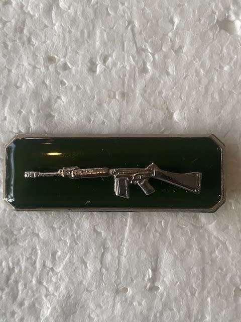 Prison Shooting Badge All Pins