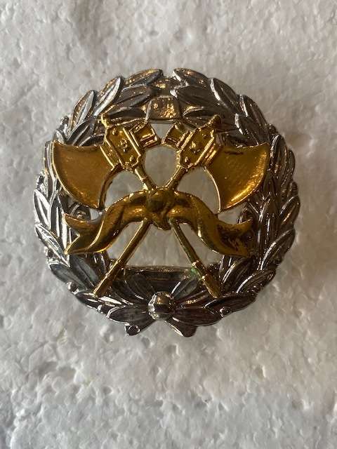 Fire Brigade Badge All Pins