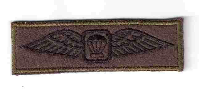 Para Instrucktor wings