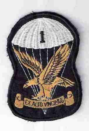 First parachute battalion blazer badge black