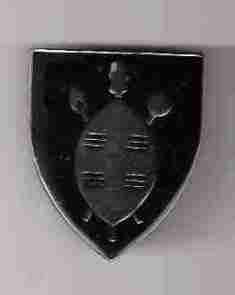 121 SA Infantry battalion 3 pins