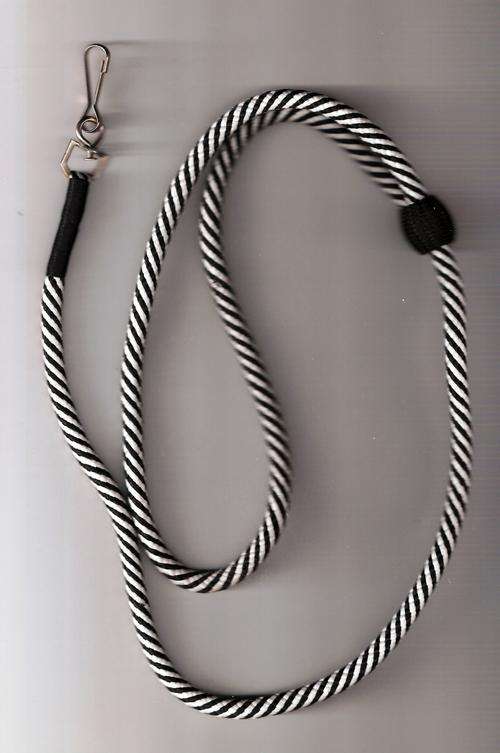 Intelligence lanyard first issue