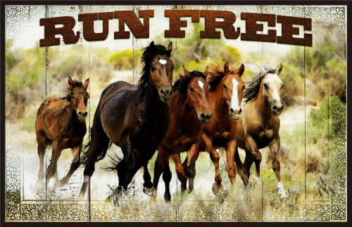 Horses  Big metal sign. 78 x 48cm                              mt36