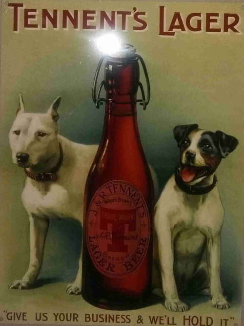 Tennents Larger Beer metal sign