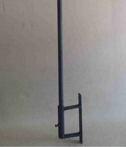 Weathervane, Fish