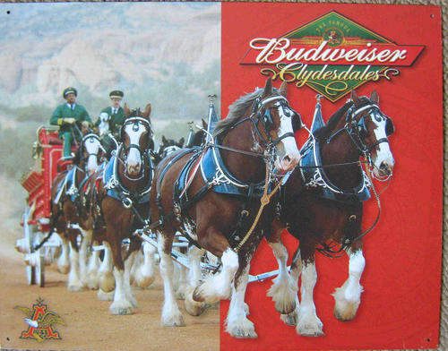 Budweiser Clydesdales beer vintage style metal sign                        mt6