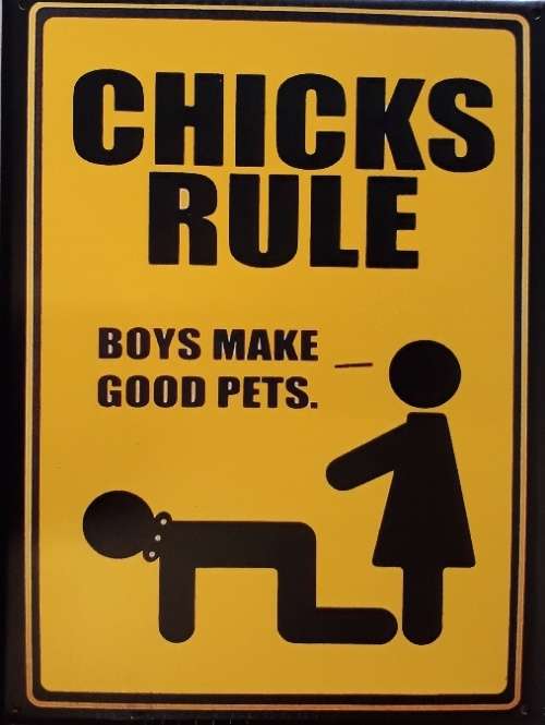 Chicks rule, boys make.... metal sign