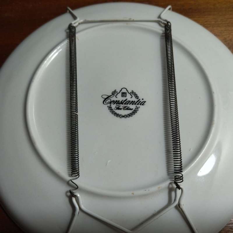 Vintage Plates Set of 2 Constantia Fine China