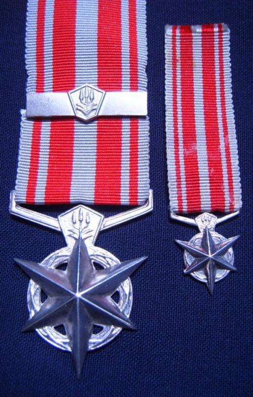 SA Police Star for Combating Terrorism