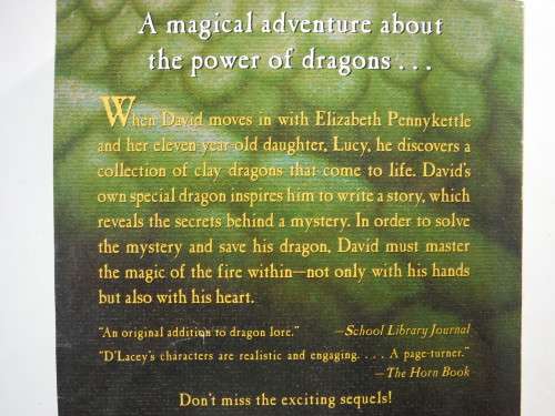 The Fire Within by Chris D`Lacey- SOFTCOVER