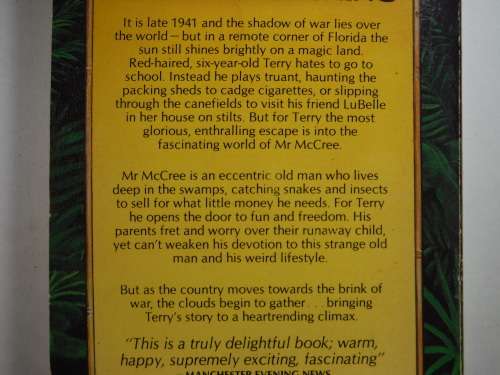 Summer Lighting - Paperback - Judith Richards