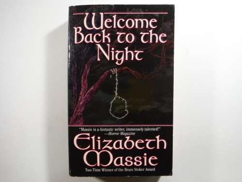 Welcome Back to The Night - Elizabert Massie