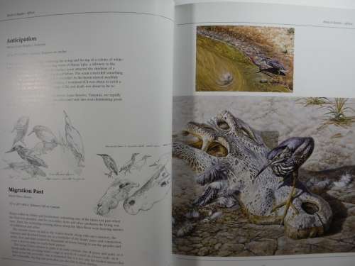 Birds and Beasts Africa : Observation of a Wildlife by Bryan Hanlon