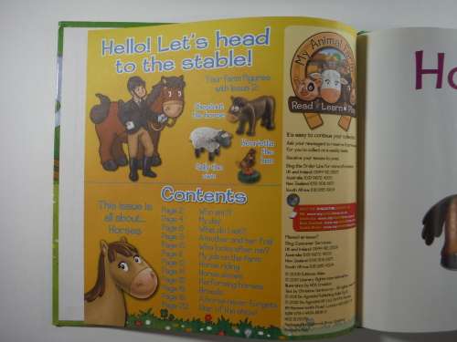 My Animal Farm- HORSES (Read , Learn and Play )