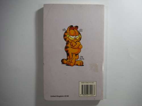 Garfield :The Great Lover - Paperback - Jimm Davis
