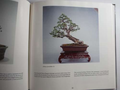 Bonsai Penjing- Jardin Botanique De Montreal :Dual Lanuage( French and English)