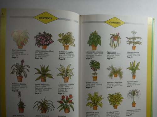 The Houseplant Doctor - Andrew Bicknell and George Seddon (HARDCOVER)