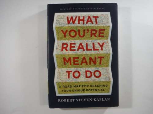 What You're Really Meant to Do - Hardcover - Robert Steven Kaplan