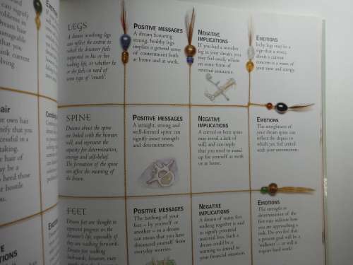 Dream Decoder - Softcover - Dr Fiona Zucker and Jonny Zucker