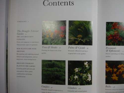 Plants For Dry Garden - Jane Taylor