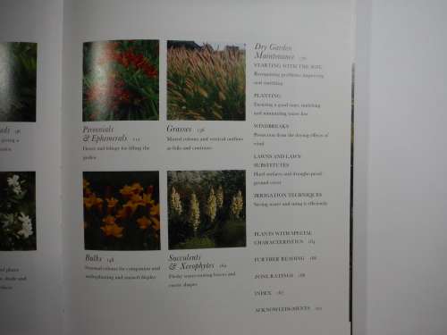 Plants For Dry Garden - Jane Taylor