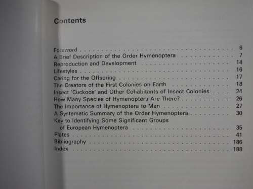 Bees, Wasps And Ants by J. Zahradnik ( A Field Guide to The World`s Hymenoptera)