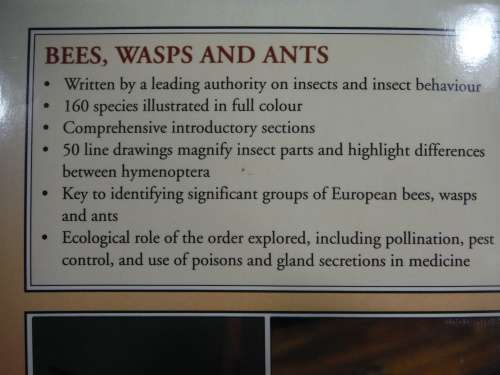 Bees, Wasps And Ants by J. Zahradnik ( A Field Guide to The World`s Hymenoptera)