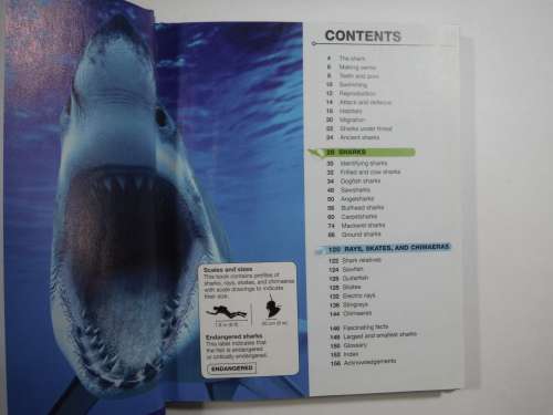 Pocket Eyewitness Sharks : Facts at Your Fingertips (DK Book) - Hardcover