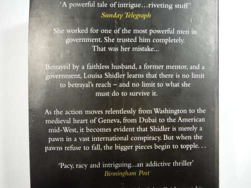 The Betrayal - Paperback - Sabin Willett