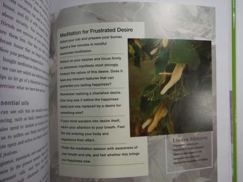 Meditations and Rituals Using Aromatherapy Oils - Hardcover - Gill Farrer