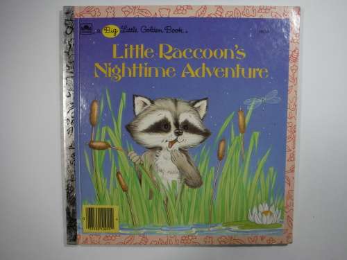 Little Raccoon`s Nighttime Adventure - Hardcover - Lilian Moore