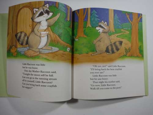 Little Raccoon`s Nighttime Adventure - Hardcover - Lilian Moore
