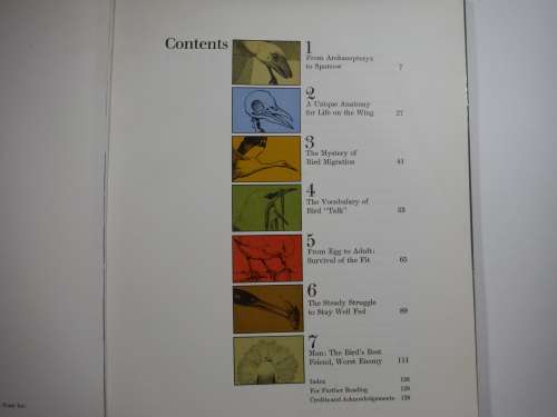 The Birds- Roger Tory Peterson ( Young Readers Library) - Hardcover