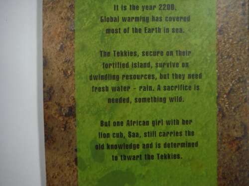 Remembering Green - Paperback - Lesley Beake