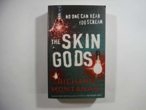 The Skin Gods- Richard Montanari: Softcover