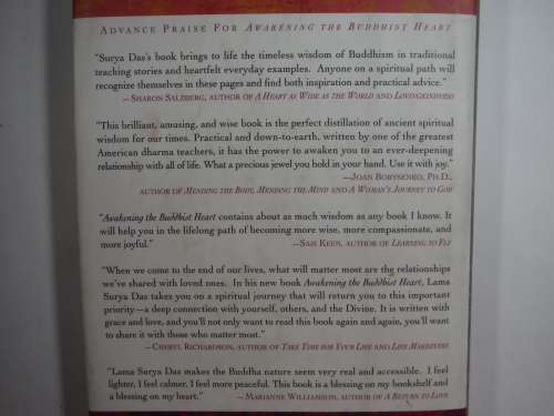 Awakening The Buddhist Heart- Lama Surya Das: Hardcover