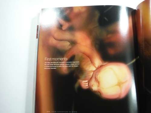 From Conception to Birth : A Life Unfolds by Alexander Tsiaras