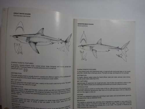 Natal Sharks Board`s Field Guide to Sharks and other Marine Animals - SOFTCOVER - by G Cliff Wilson