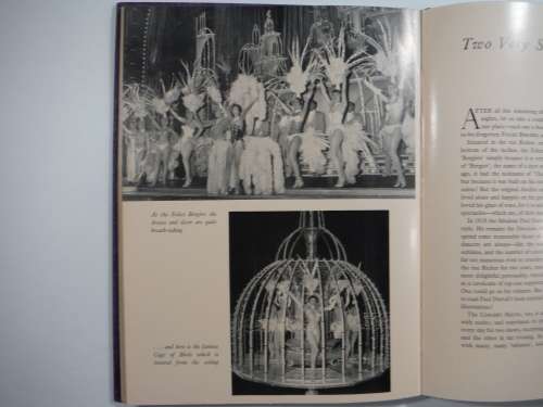 Paris By Night : A Tour Of The Capital`s Gay Pleasure Haunts By Jacques Robert (HARDCOVER)