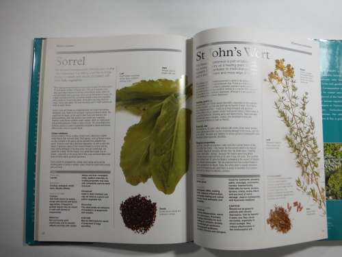 The Books Of Herbs- Barty Philips (HARDCOVER)