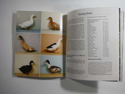 The New Duck Handbook - SOFTCOVER- Barron`s Educational Series