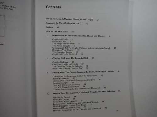 Short -Term Couples Therapy: The Imago Model In Action - (SOFTCOVER) Wade Luquet