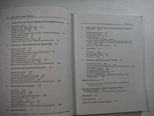 Short -Term Couples Therapy: The Imago Model In Action - (SOFTCOVER) Wade Luquet