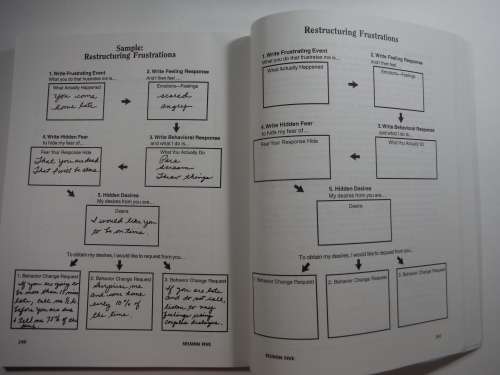 Short -Term Couples Therapy: The Imago Model In Action - (SOFTCOVER) Wade Luquet