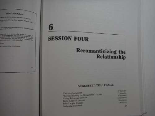 Short -Term Couples Therapy: The Imago Model In Action - (SOFTCOVER) Wade Luquet