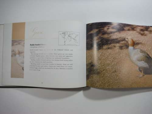 Exotic Waterfowl - Hardcover - Hilko Insel