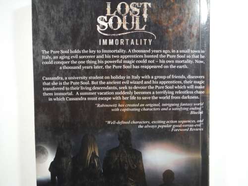 Lost Soul : Immortality - Paperback - Adam Rabinowitz