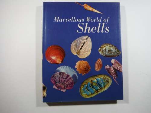 Marvelous World of Shells-text by Donata Lucifora/ translated by J.Peter Tallon