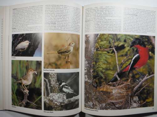 Everyone`s Guide to South African Birds - Hardcover - John Sinclair