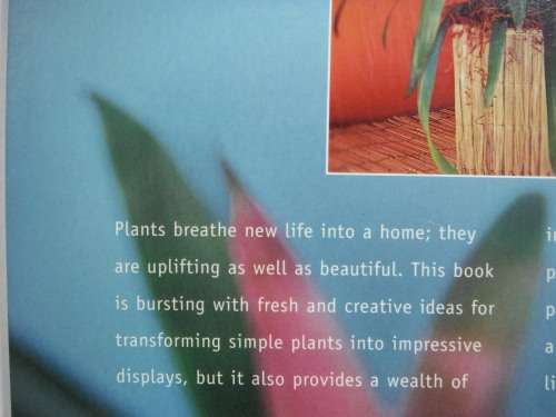 Arranging Houseplants - Softcover - Chris Jones